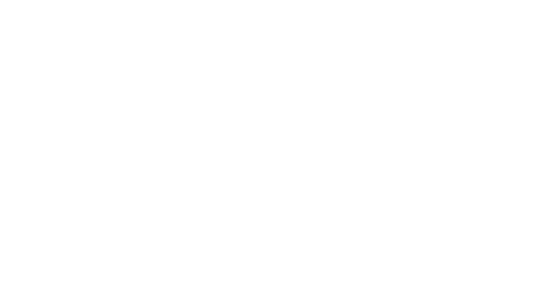 Niuvisions Logo