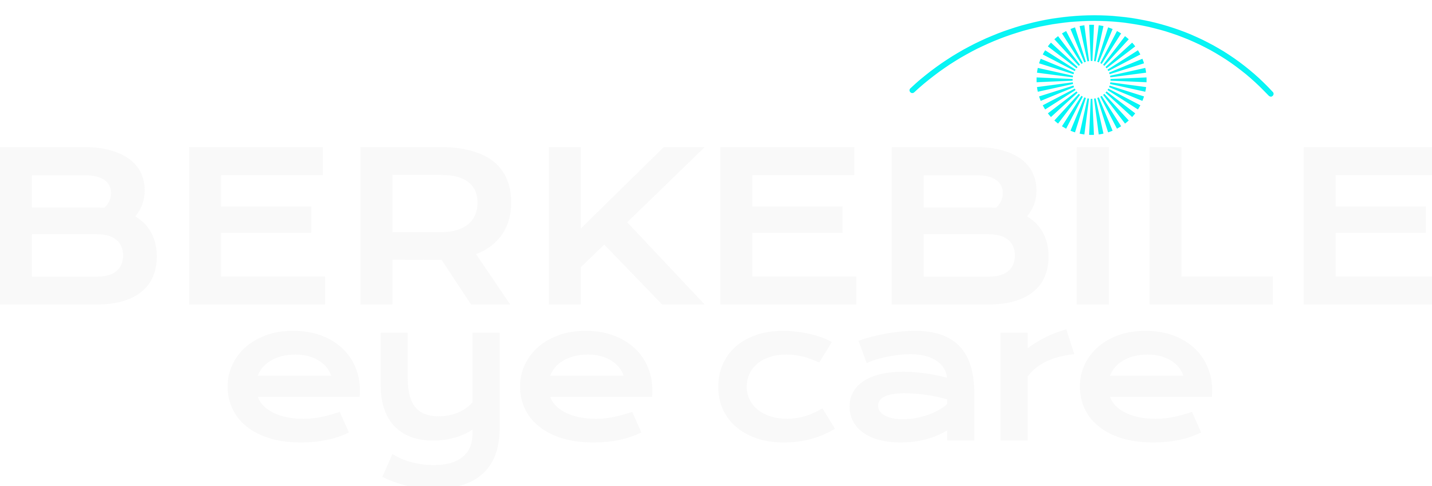 Berkebile Eye Care Logo