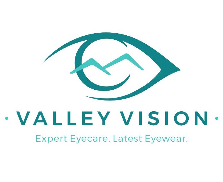 Valley Vision Logo