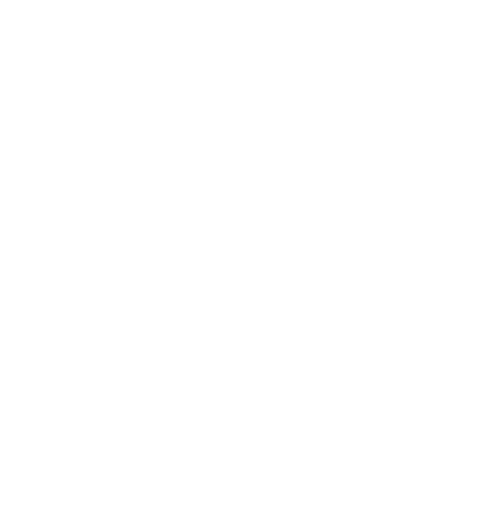 Center for Vision and Learning Logo