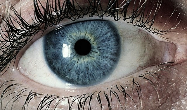 Spivey Eye Clinic Logo